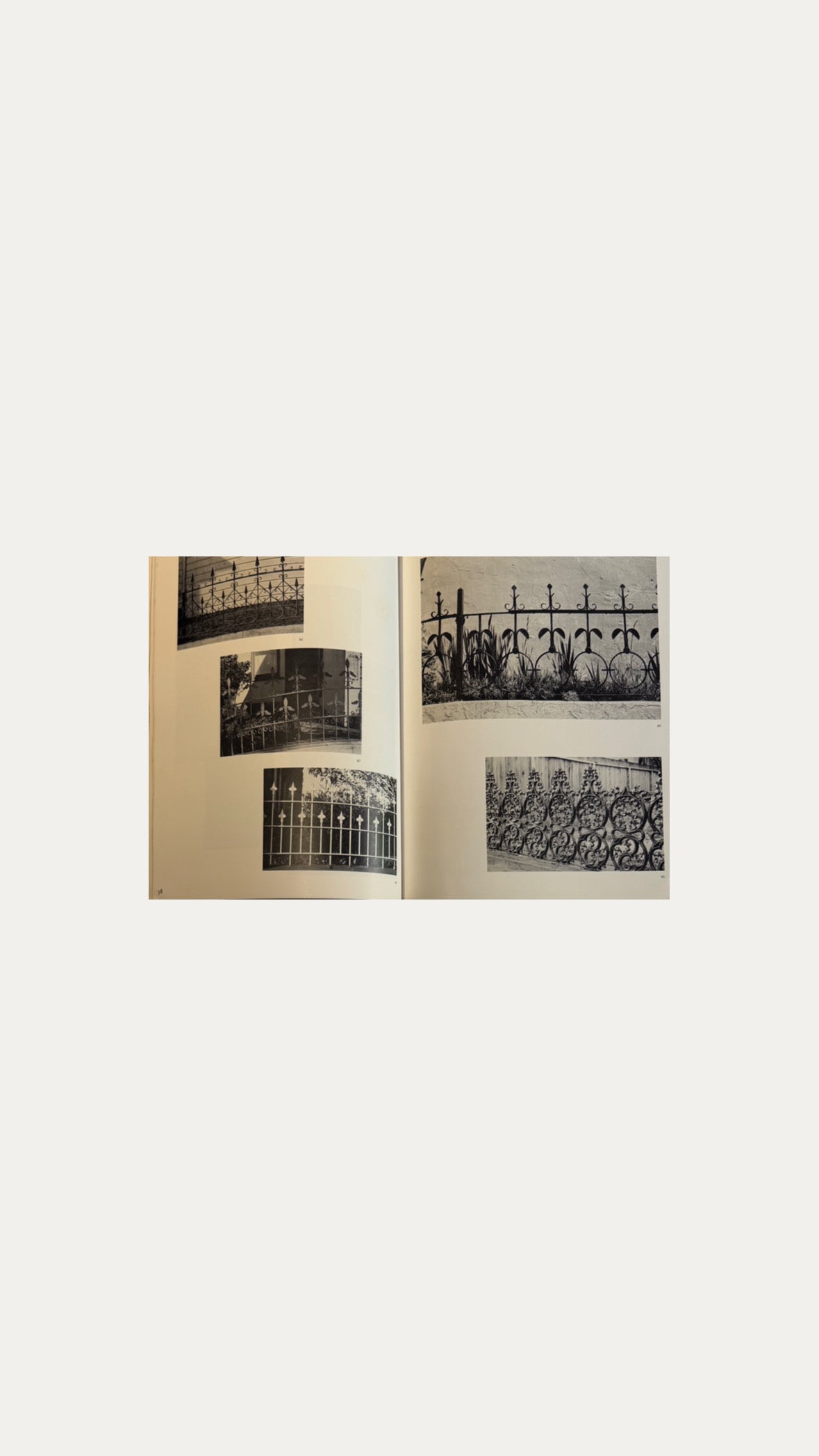 A GIFT TO THE STREET - Judith Lynch Waldhorn