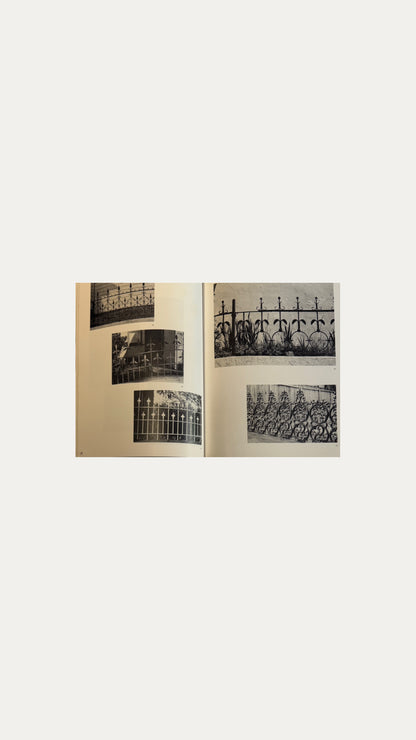 A GIFT TO THE STREET - Judith Lynch Waldhorn
